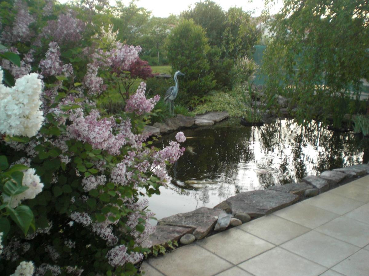 Bed and Breakfast Le Jardin De Nemo Biscarrosse Exterior foto