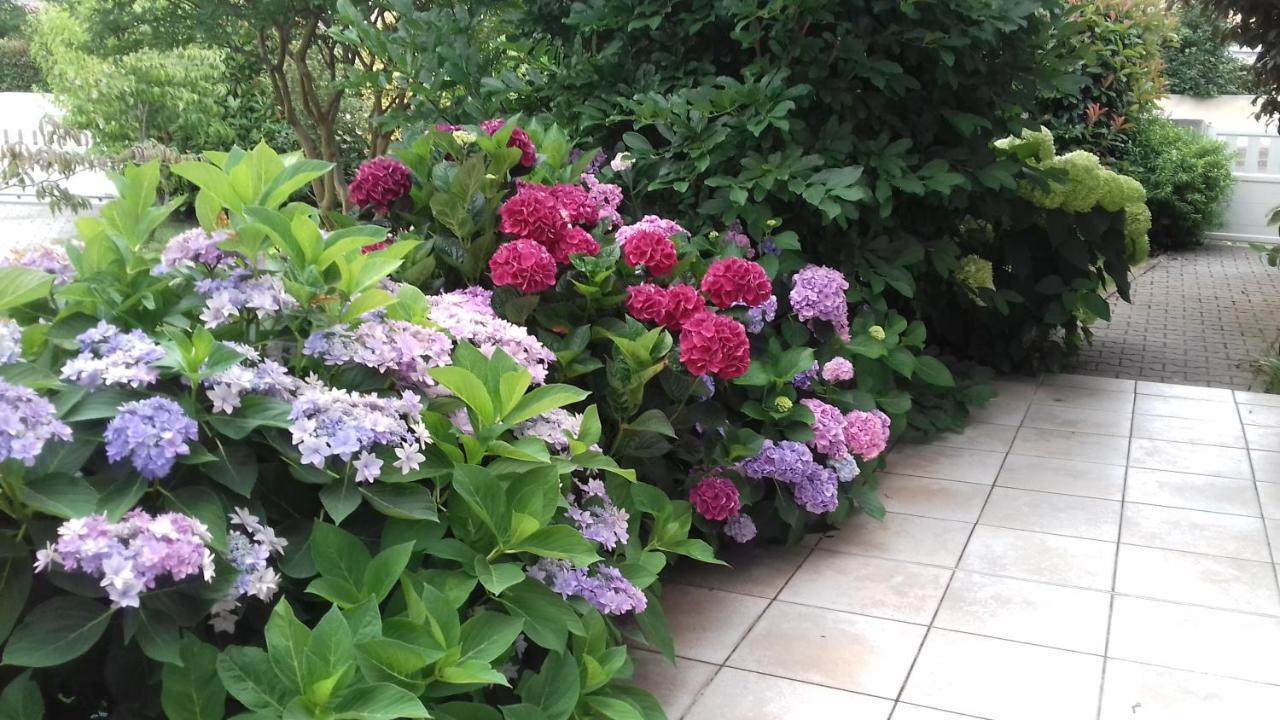 Bed and Breakfast Le Jardin De Nemo Biscarrosse Exterior foto